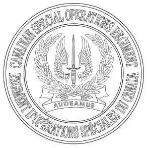 Challenge Coin Step 1 Challenge Coin Step 1