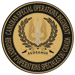 Challenge Coin Step 2 Challenge Coin Step 2