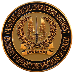 Challenge Coin Step 3 Challenge Coin Step 3